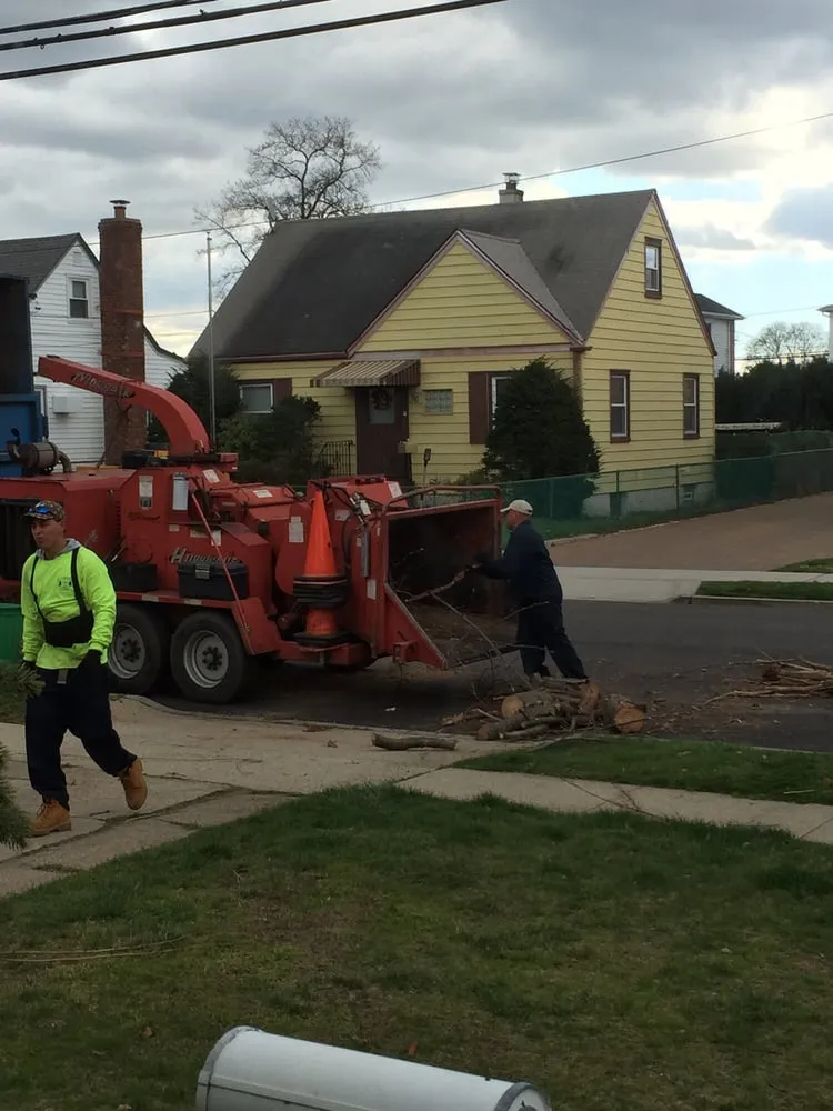 Top-rated landscape installation for beautiful yards in Westbury, NY by Clearview Tree and Land Corp