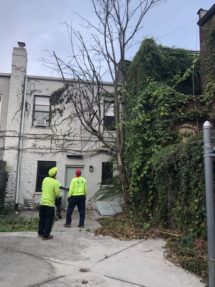 Expert landscape design in Westbury, NY - Clearview Tree and Land Corp