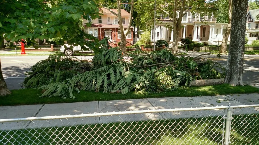 Expert lawn mowing service in Westbury, NY - Clearview Tree and Land Corp