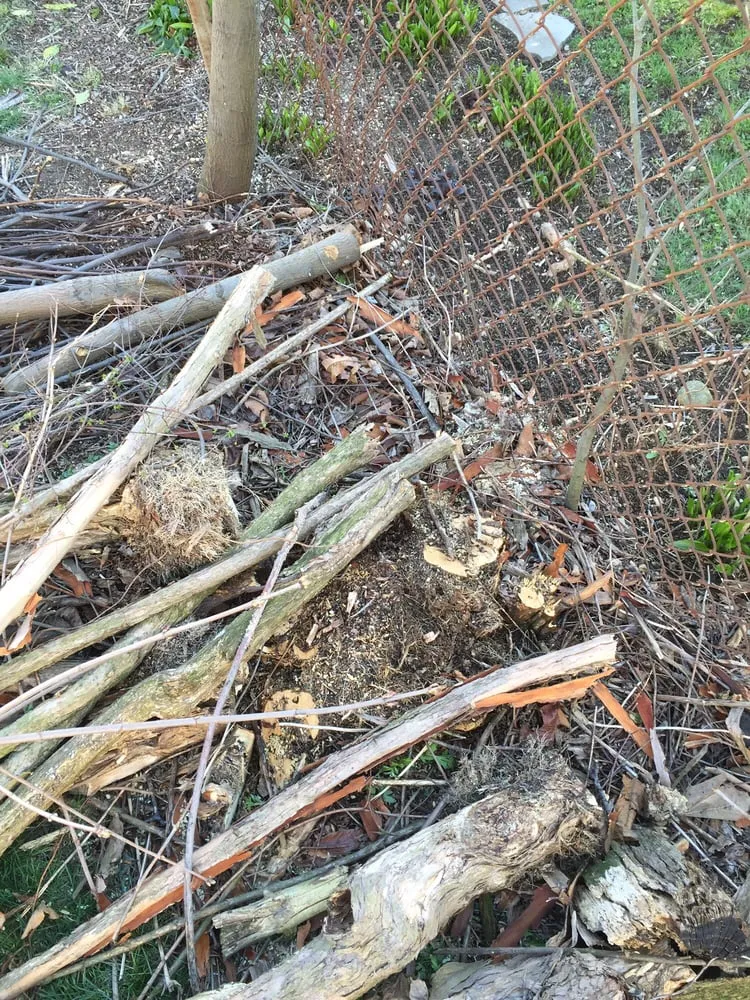 Custom garden landscaping experts serving Westbury, NY - Clearview Tree and Land Corp