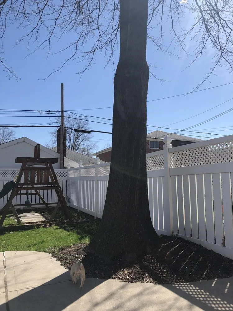 Reliable yard cleanup service in Westbury, NY - Clearview Tree and Land Corp