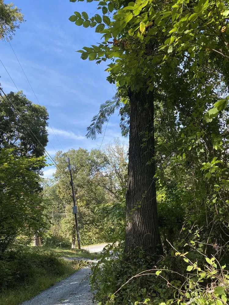 Custom lawn care service in Charles Town, WV by Clearview Tree and Landscaping Services