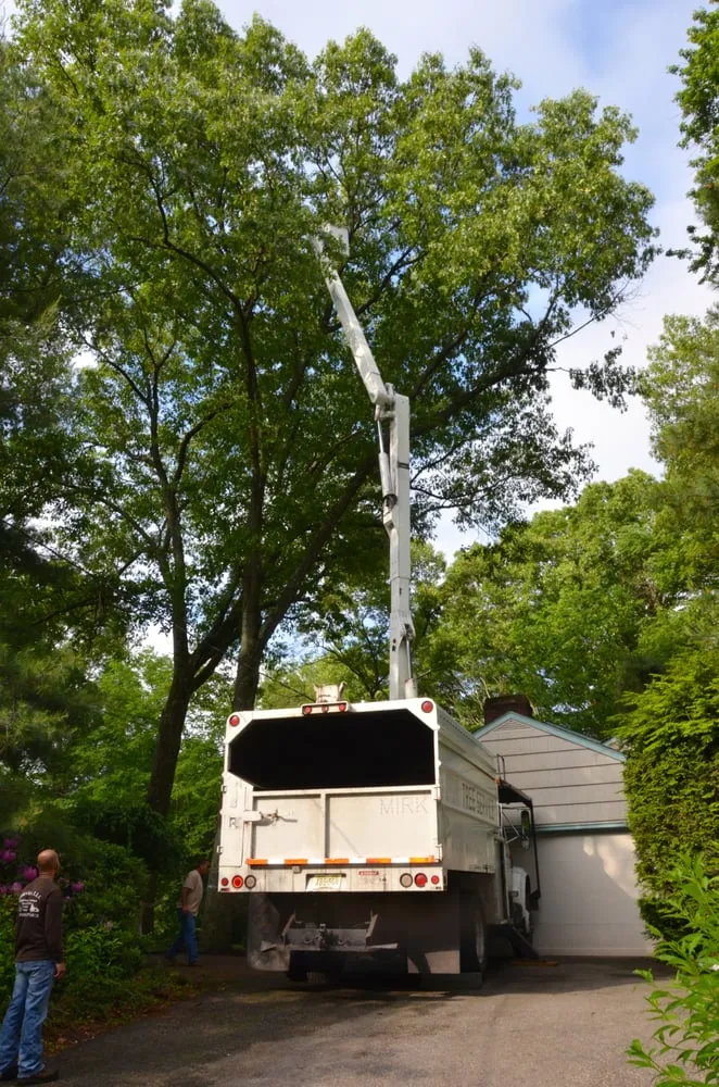 Professional yard maintenance in Pompton Lakes, NJ - Clearview Tree Service