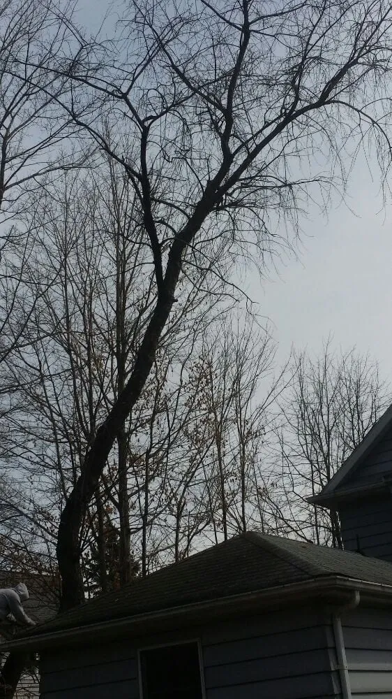 Custom lawn care service for outdoor upgrades in Pompton Lakes, NJ by Clearview Tree Service