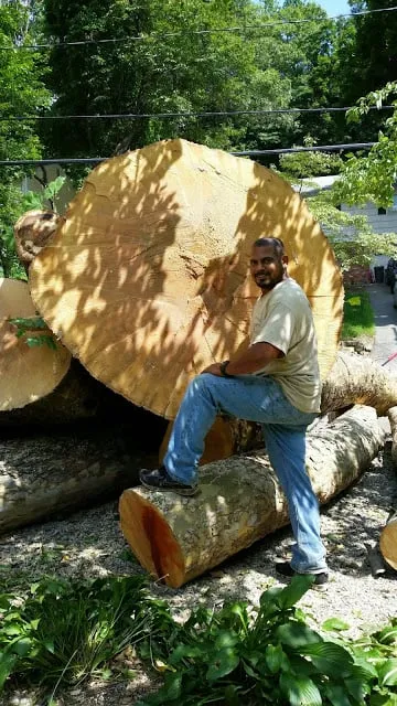 Reliable lawn mowing service for year-round maintenance across Pompton Lakes, NJ - Clearview Tree Service