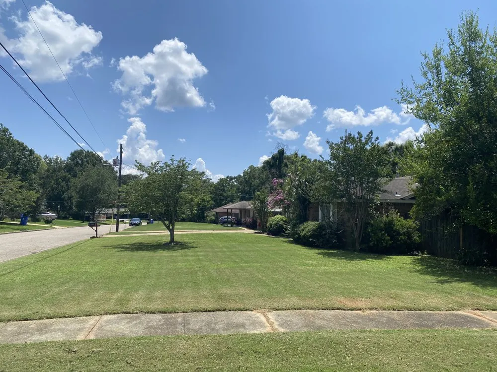 Expert yard cleanup service for beautiful yards across Clanton, AL - ClearView Window & Lawn Care