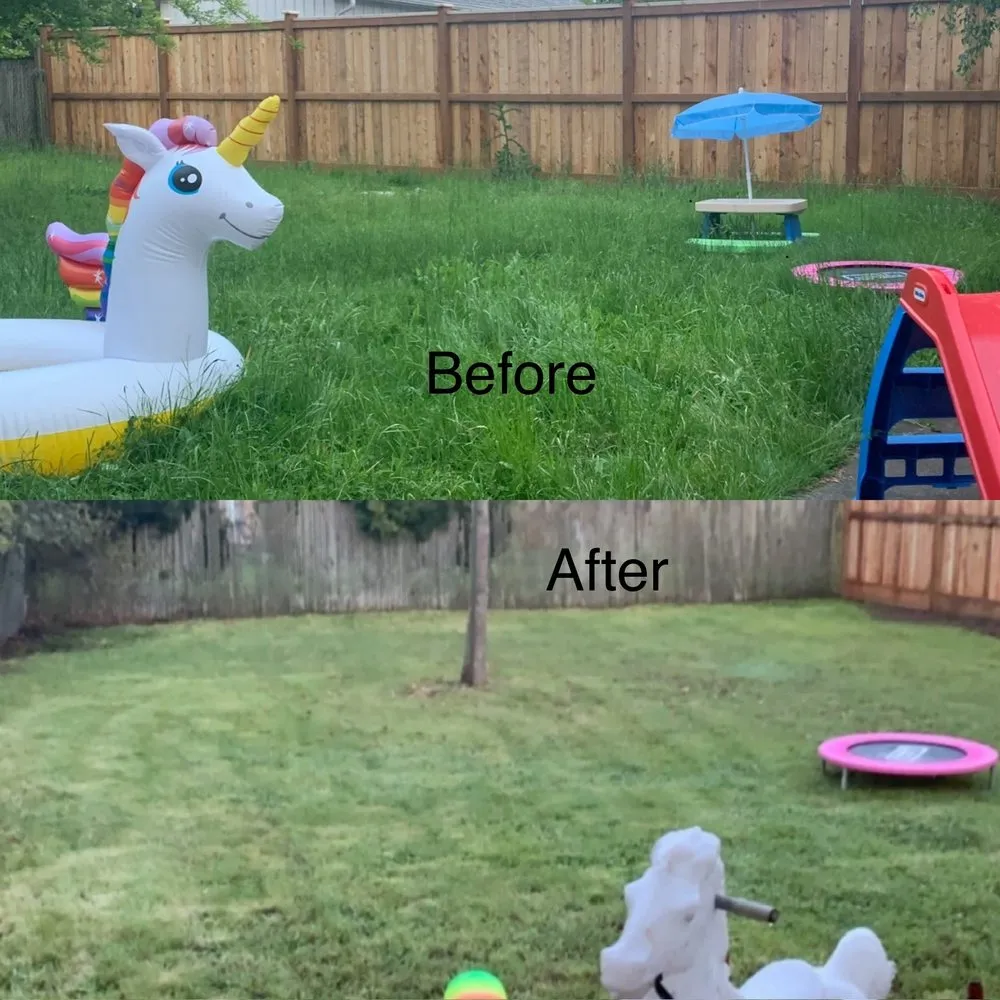 Local garden landscaping in Springfield, OR - Clearwater Clean Up and Repair