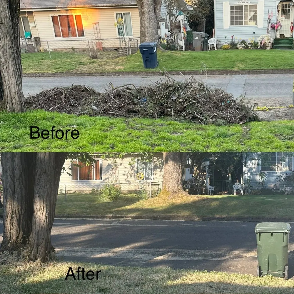 Top-rated residential landscaping in Springfield, OR - Clearwater Clean Up and Repair