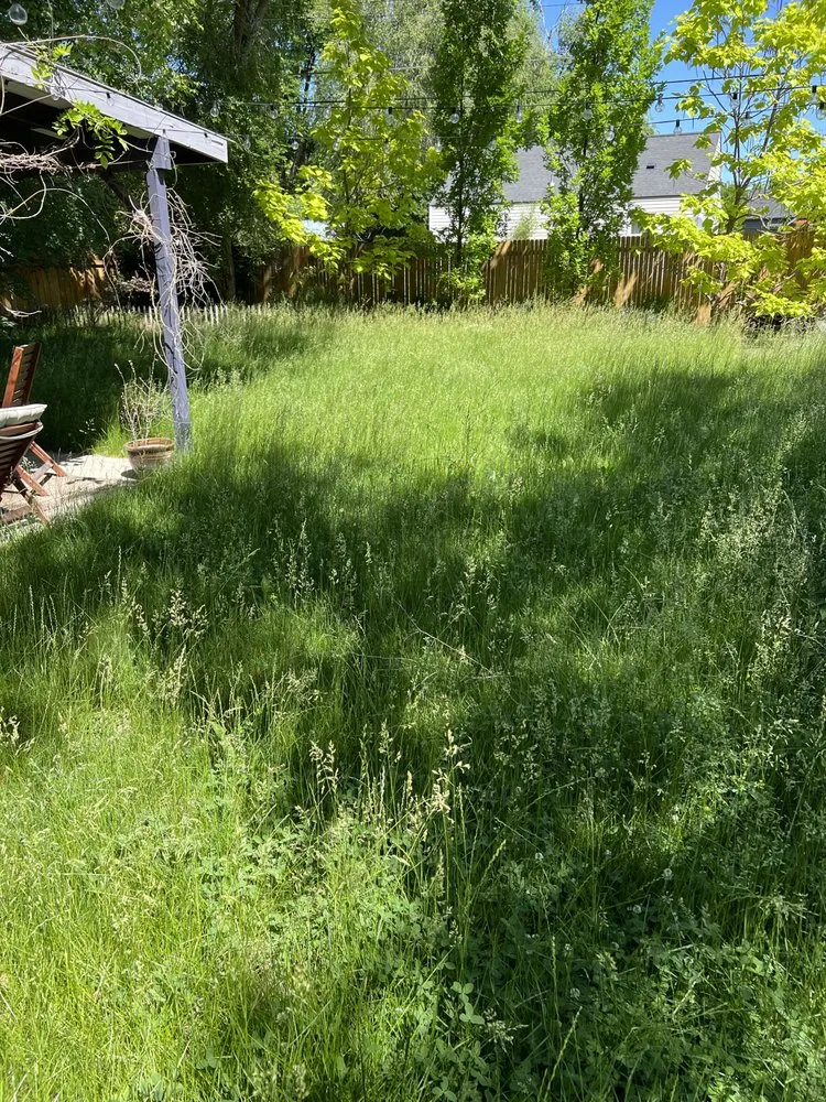 Affordable landscaping services in Eagle, ID by Clearwater Creek Landscaping