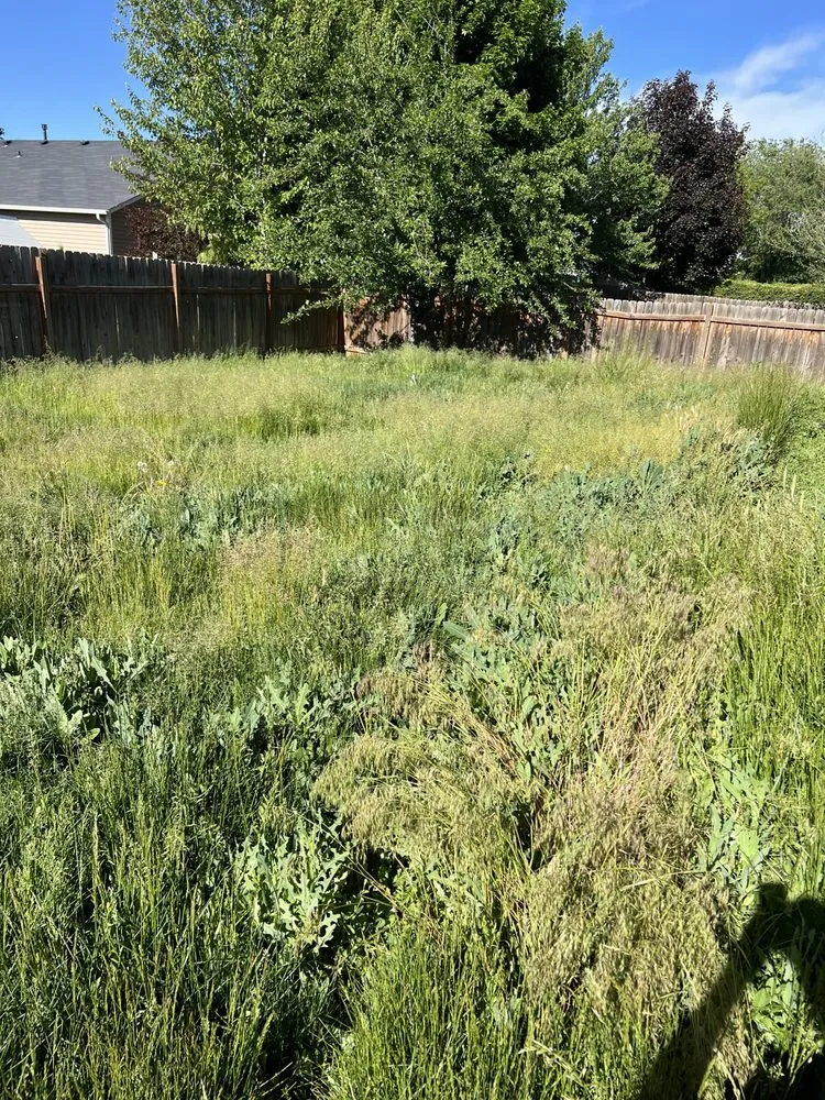 Local landscaping services for outdoor upgrades in Eagle, ID by Clearwater Creek Landscaping