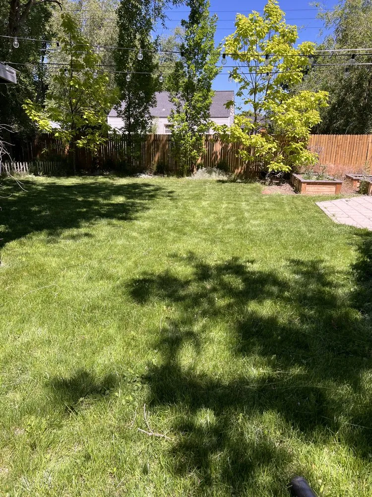 Local landscape installation for year-round maintenance in Eagle, ID by Clearwater Creek Landscaping
