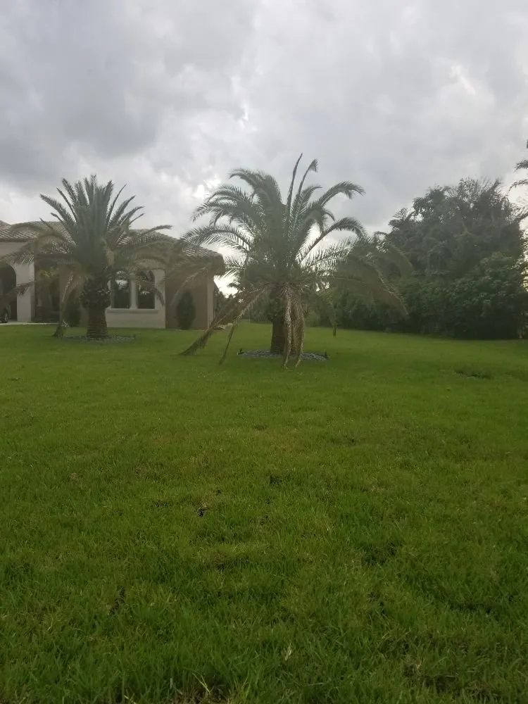 Custom landscaping services for beautiful yards in Port St. Lucie, FL by Clearwater Irrigation and Lawn