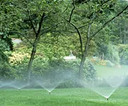 Affordable landscape design experts serving Port St. Lucie, FL - Clearwater Irrigation and Lawn