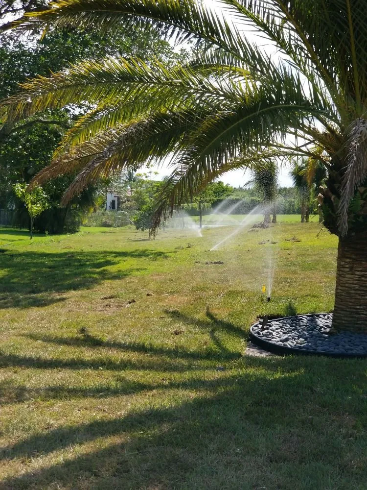 Professional landscaping services experts serving Port St. Lucie, FL - Clearwater Irrigation and Lawn