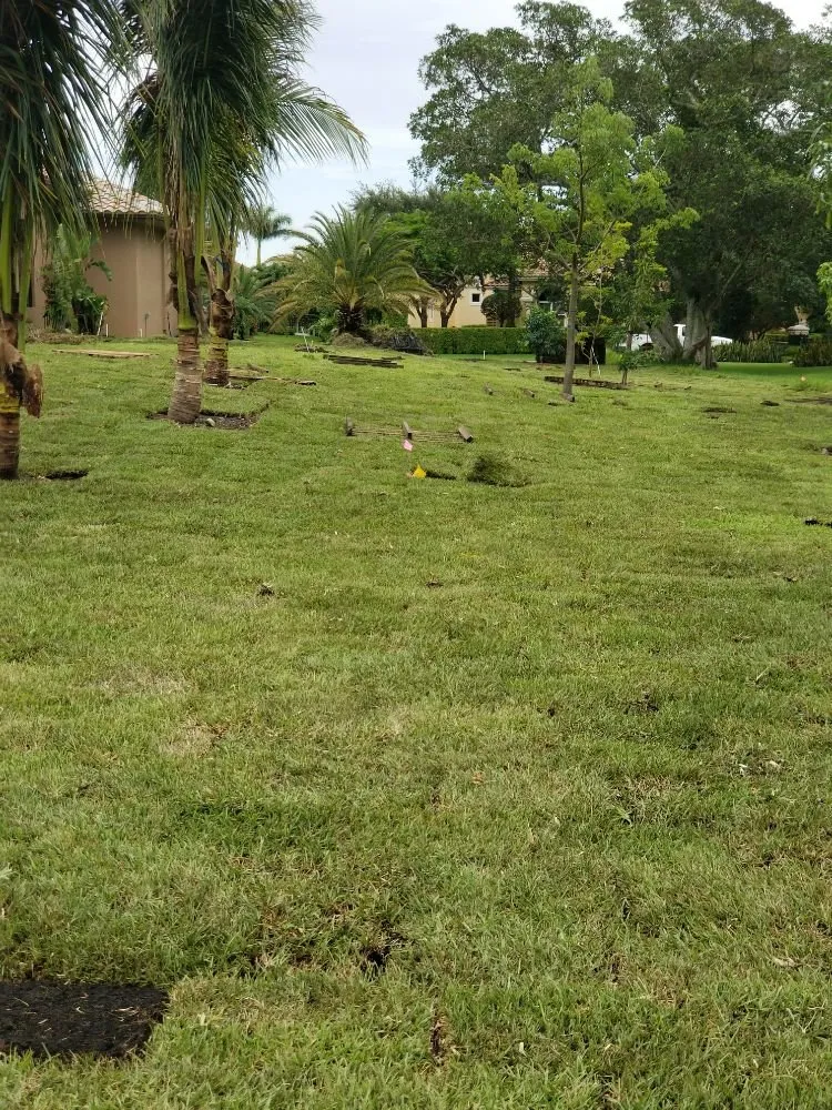 Local landscaping services experts serving Port St. Lucie, FL - Clearwater Irrigation and Lawn