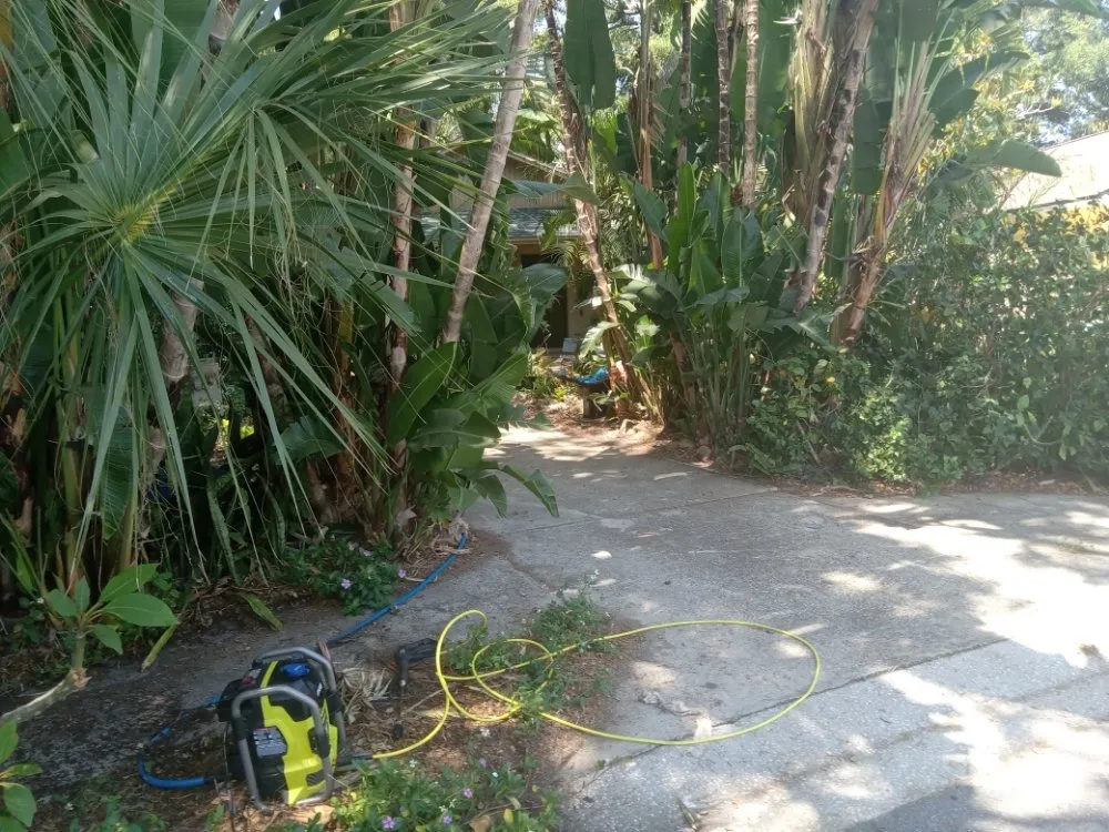 Reliable residential landscaping for homes across Tampa Bay, FL - Clearwater Junk Hauling & Property Services