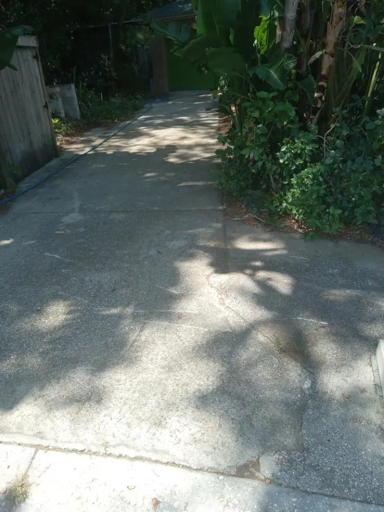 Local yard maintenance in Tampa Bay, FL - Clearwater Junk Hauling & Property Services