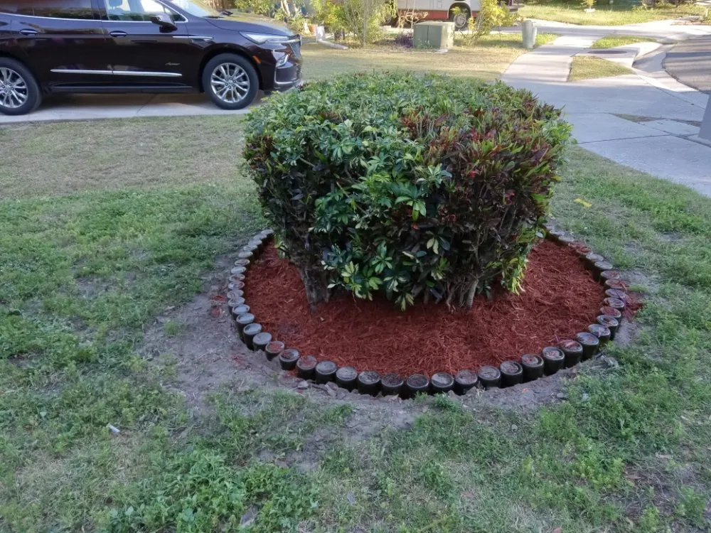 Affordable outdoor landscaping for year-round maintenance across Tampa Bay, FL - Clearwater Junk Hauling & Property Services