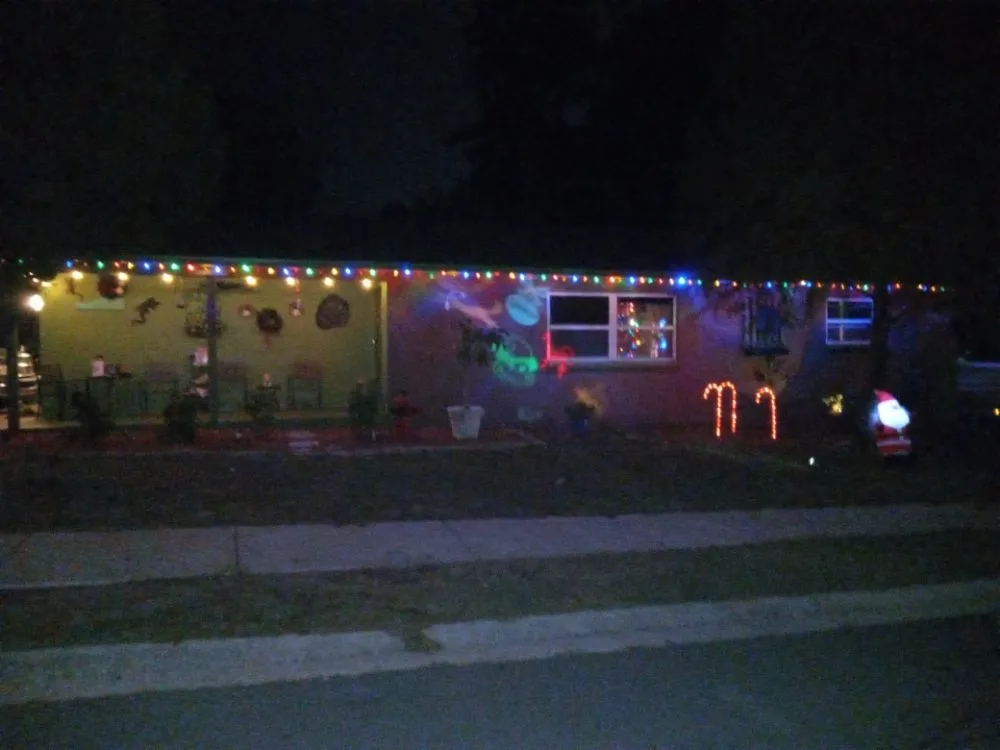 Expert landscape design in Tampa Bay, FL - Clearwater Junk Hauling & Property Services