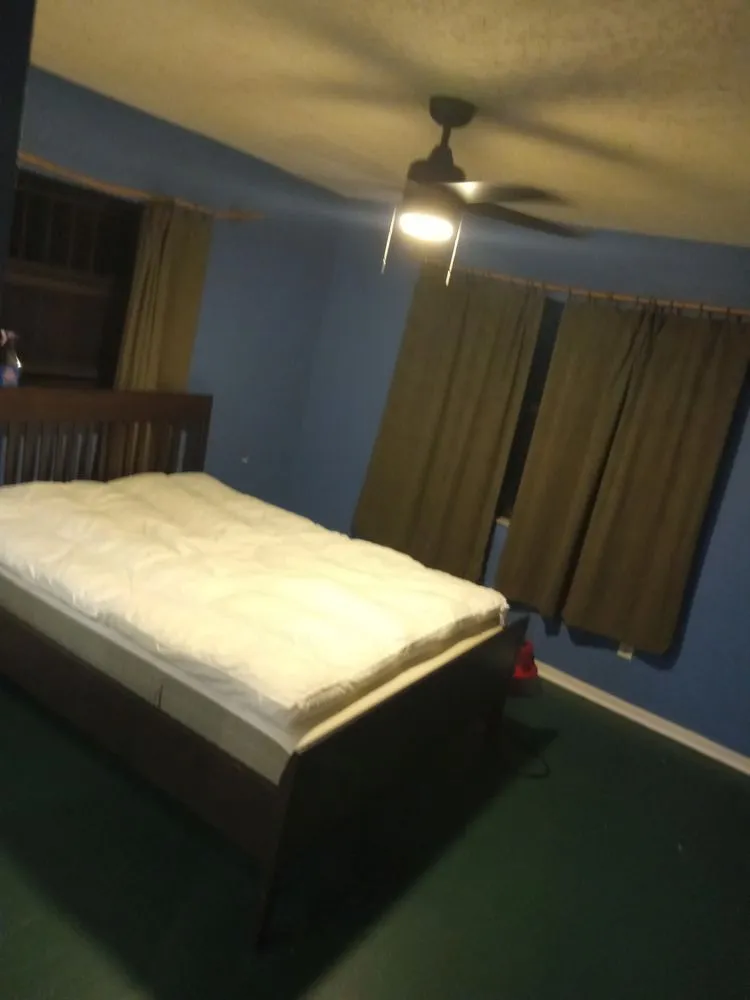 Top-rated outdoor landscaping in Tampa Bay, FL by Clearwater Junk Hauling & Property Services