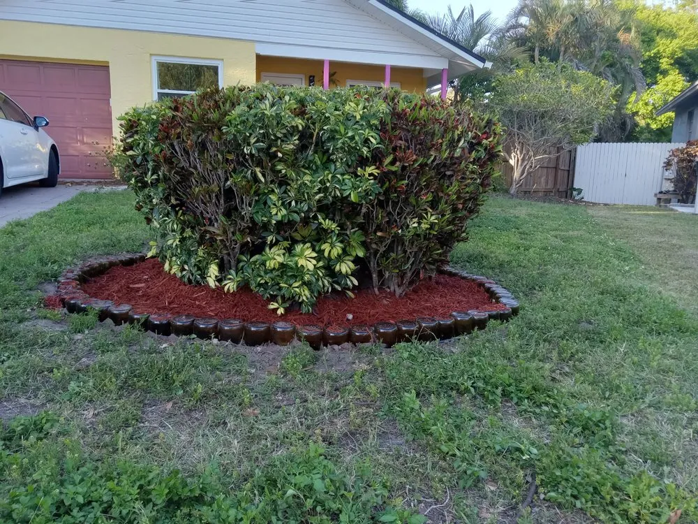 Affordable yard cleanup service for beautiful yards across Tampa Bay, FL - Clearwater Junk Hauling & Property Services