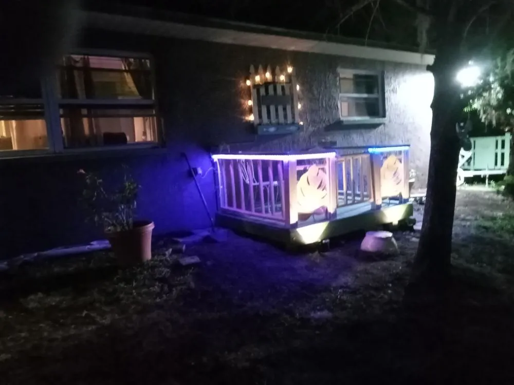 Professional lawn care service near you in Tampa Bay, FL by Clearwater Junk Hauling & Property Services