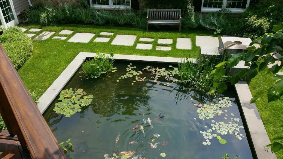 Local yard cleanup service in Stanhope, NJ by Clearwater Landscaping