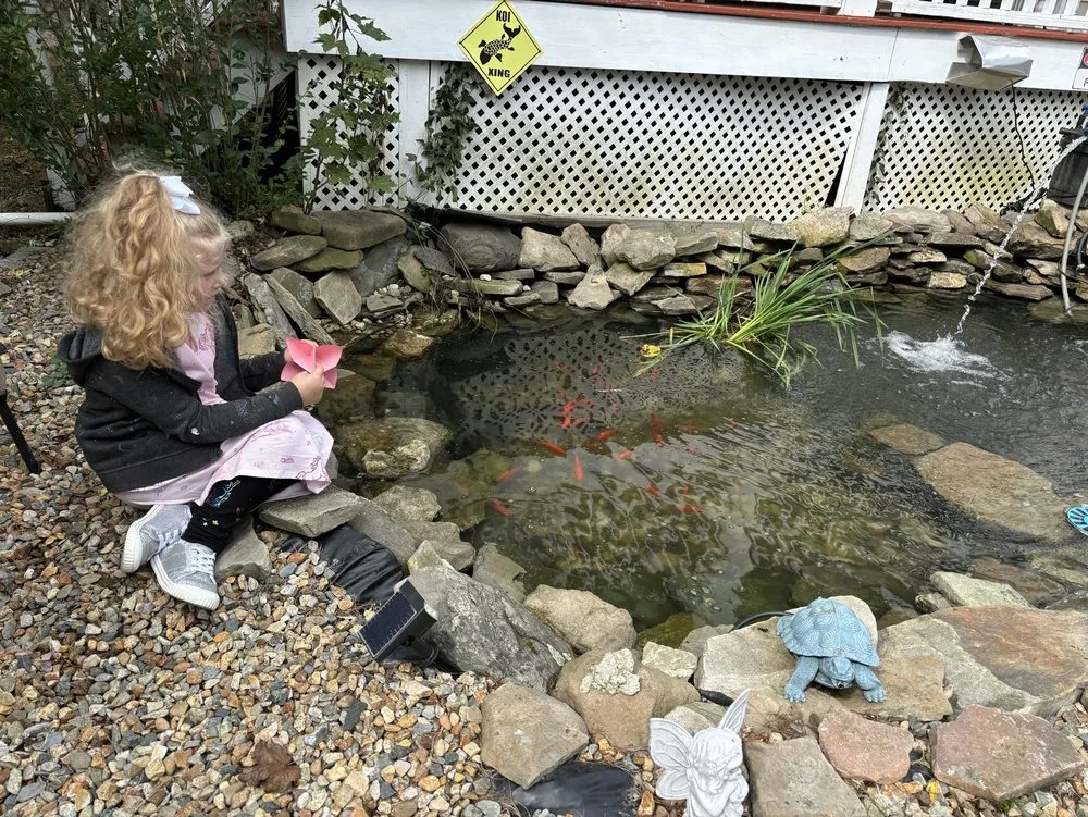 Trusted yard maintenance in Raynham, MA by Clearwater Ponds