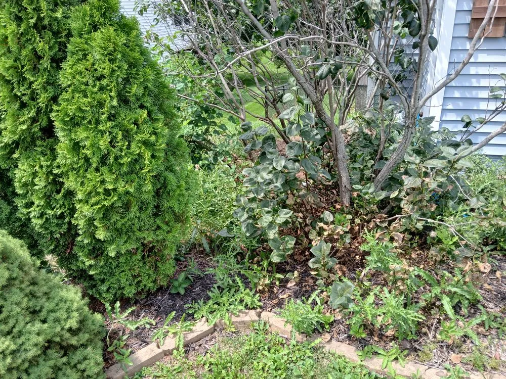 Local residential landscaping in Des Moines, IA - ClearWay Landscaping