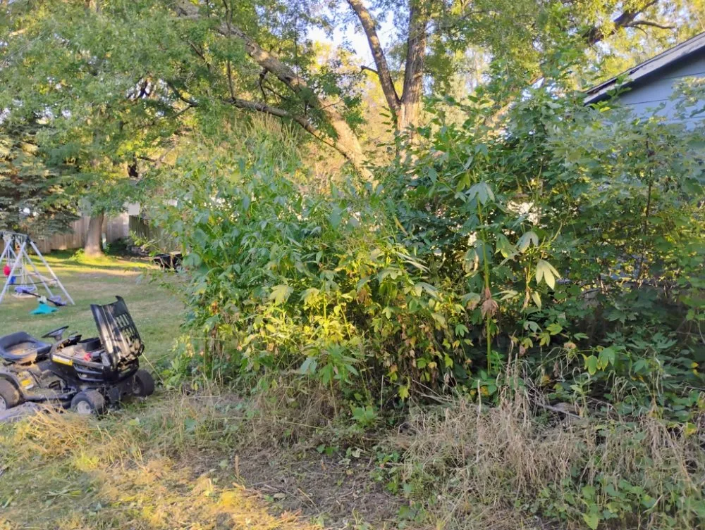 Reliable yard cleanup service in Des Moines, IA by ClearWay Landscaping