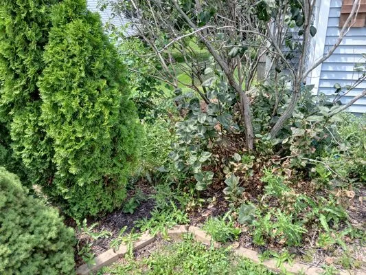 ClearWay Landscaping Logo