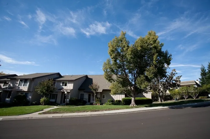 Affordable landscaping services for homes in Danville, CA by Cleary Brothers Landscape