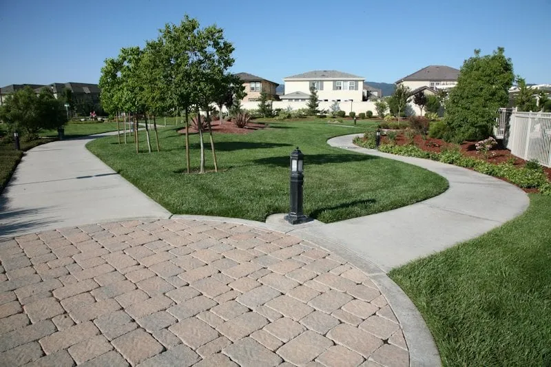 Custom landscape design for homes across Danville, CA - Cleary Brothers Landscape