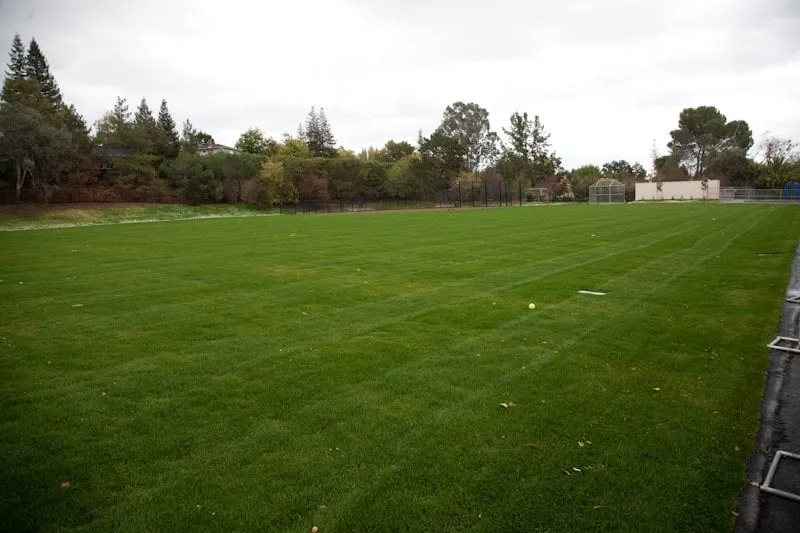 Top-rated landscape design in Danville, CA by Cleary Brothers Landscape