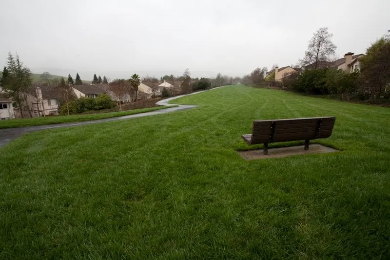 Local yard maintenance in Danville, CA by Cleary Brothers Landscape