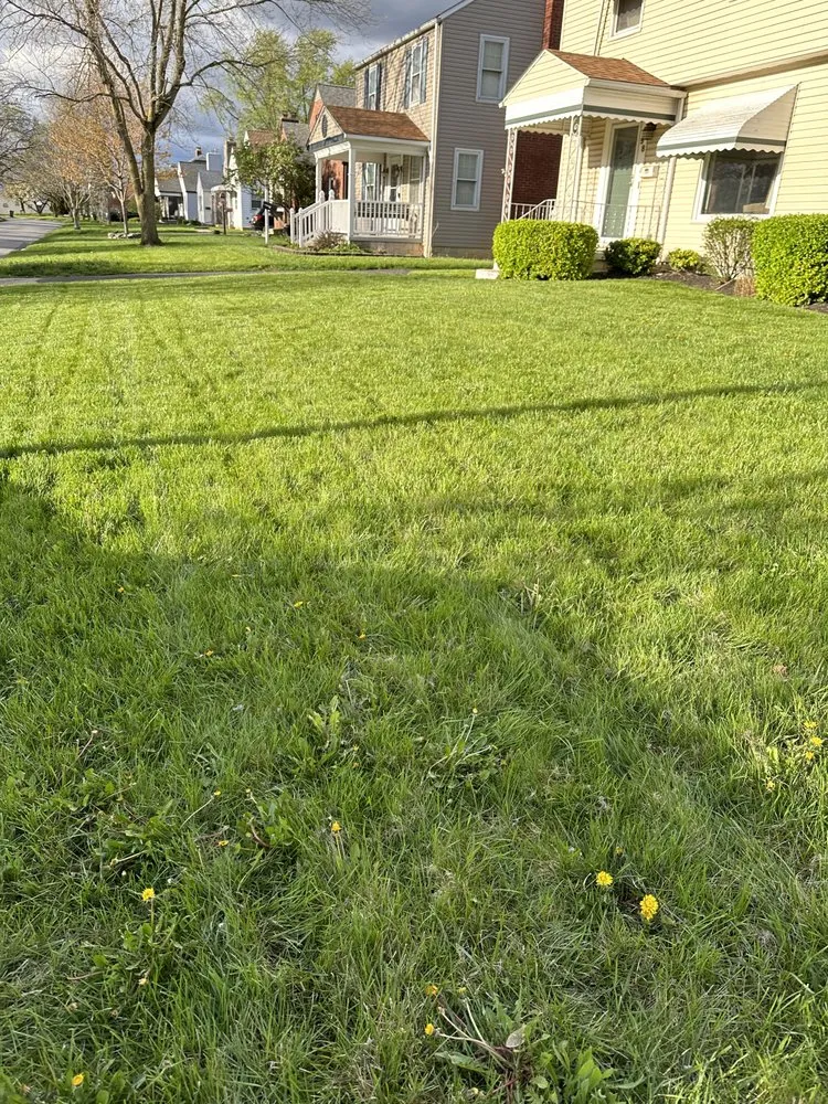 Expert outdoor landscaping near you across Grove City, OH - Cleen Green Cuts