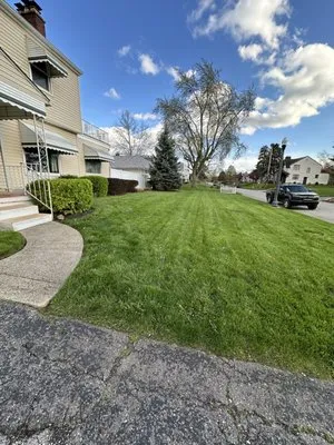 Cleen Green Cuts Logo