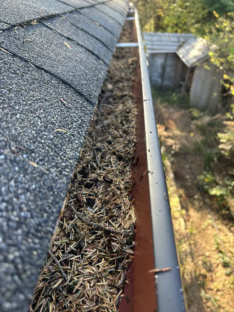 Affordable yard maintenance in Seaside, OR - Cleen Sweap