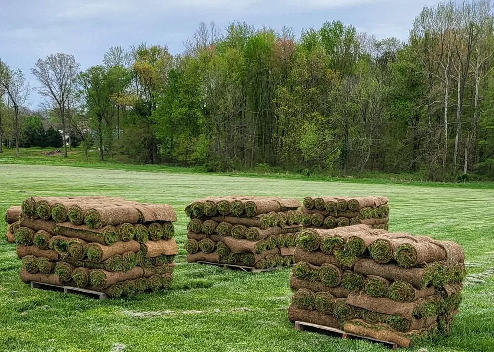 Professional lawn care service for homes across Seymour, IN - Clegg and Sons' Sod Farms