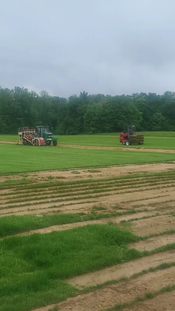 Expert landscape design for outdoor upgrades across Seymour, IN - Clegg and Sons' Sod Farms