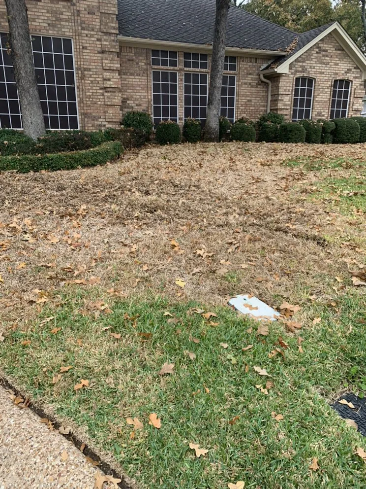 Custom yard cleanup service for year-round maintenance in Midlothian, TX by Clegg Royal Landscaping