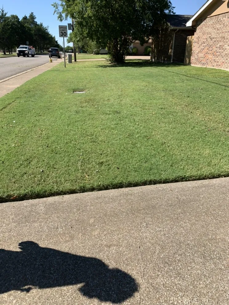 Top-rated yard cleanup service near you across Midlothian, TX - Clegg Royal Landscaping