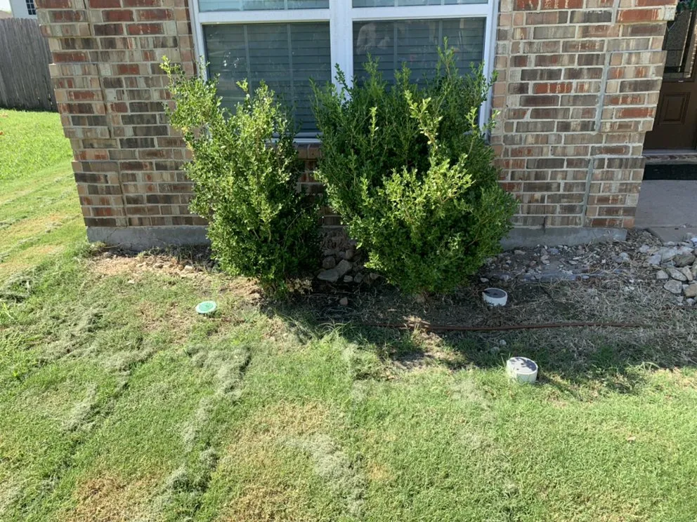 Top-rated landscape installation for year-round maintenance across Midlothian, TX - Clegg Royal Landscaping