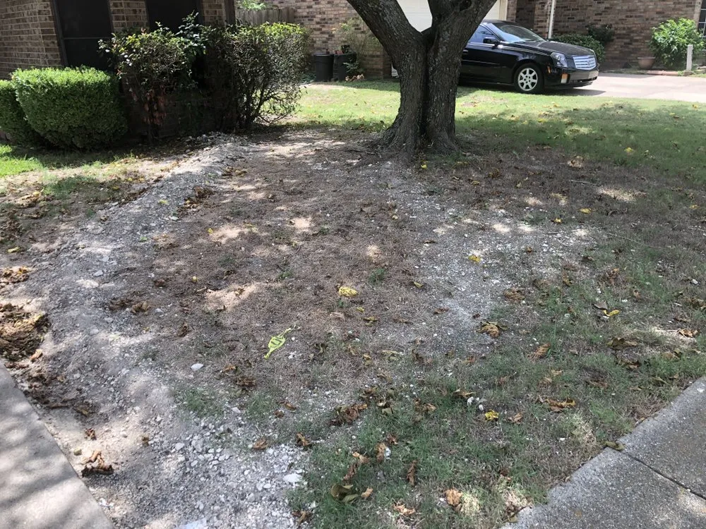 Expert residential landscaping experts serving Midlothian, TX - Clegg Royal Landscaping