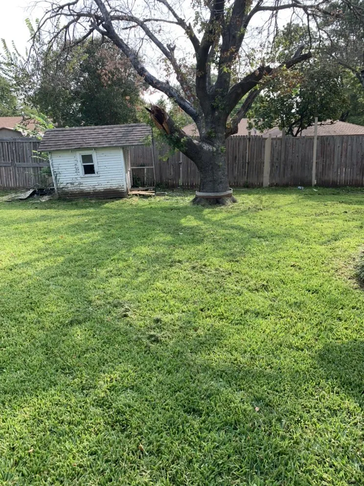 Affordable lawn mowing service for residential properties across Midlothian, TX - Clegg Royal Landscaping