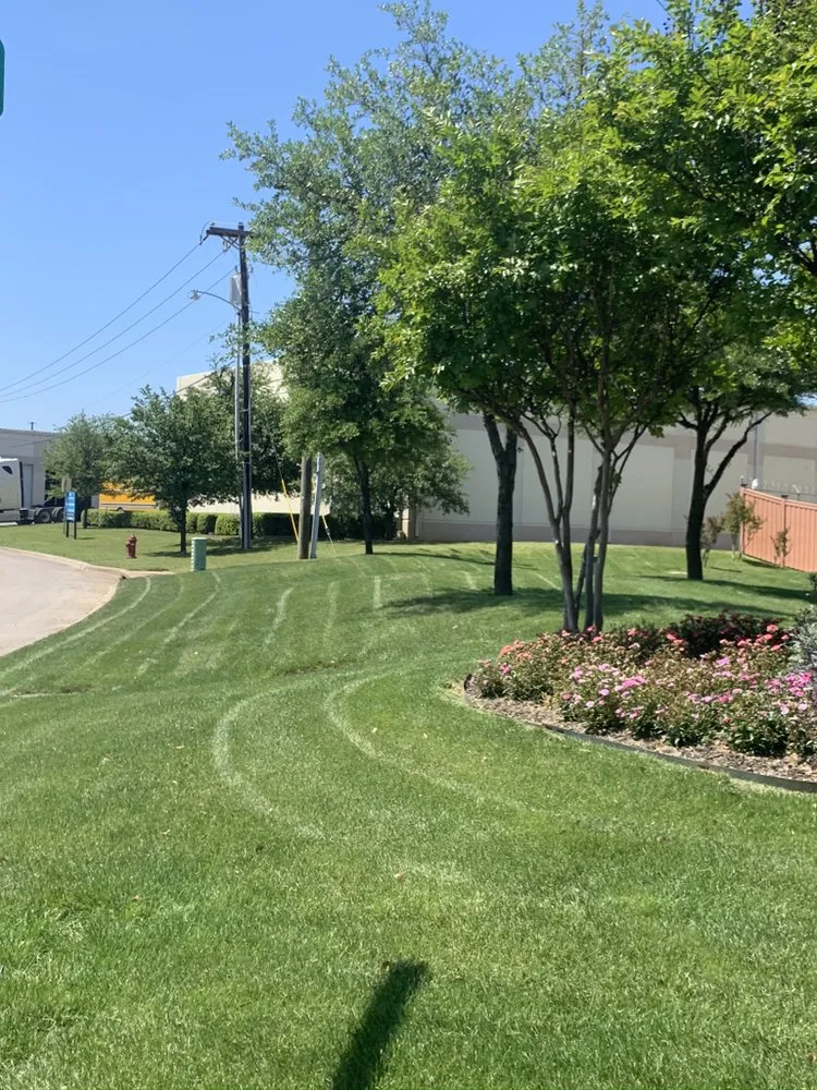 Local outdoor landscaping experts serving Midlothian, TX - Clegg Royal Landscaping