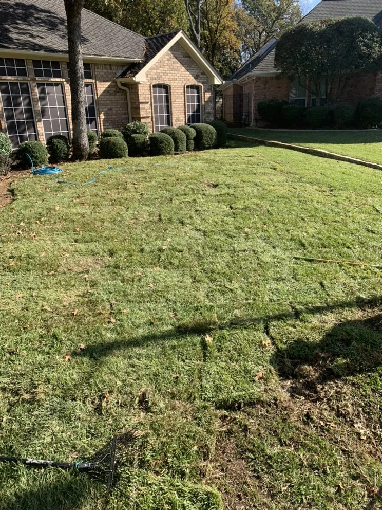 Custom yard maintenance in Midlothian, TX - Clegg Royal Landscaping