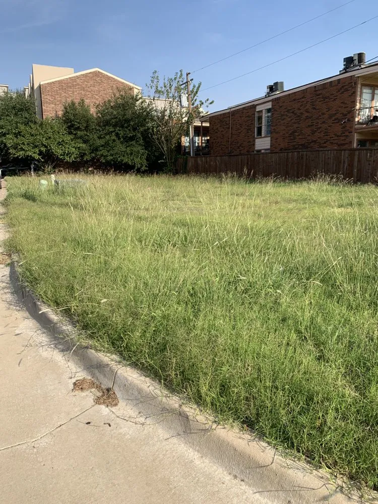 Affordable yard cleanup service in Midlothian, TX - Clegg Royal Landscaping