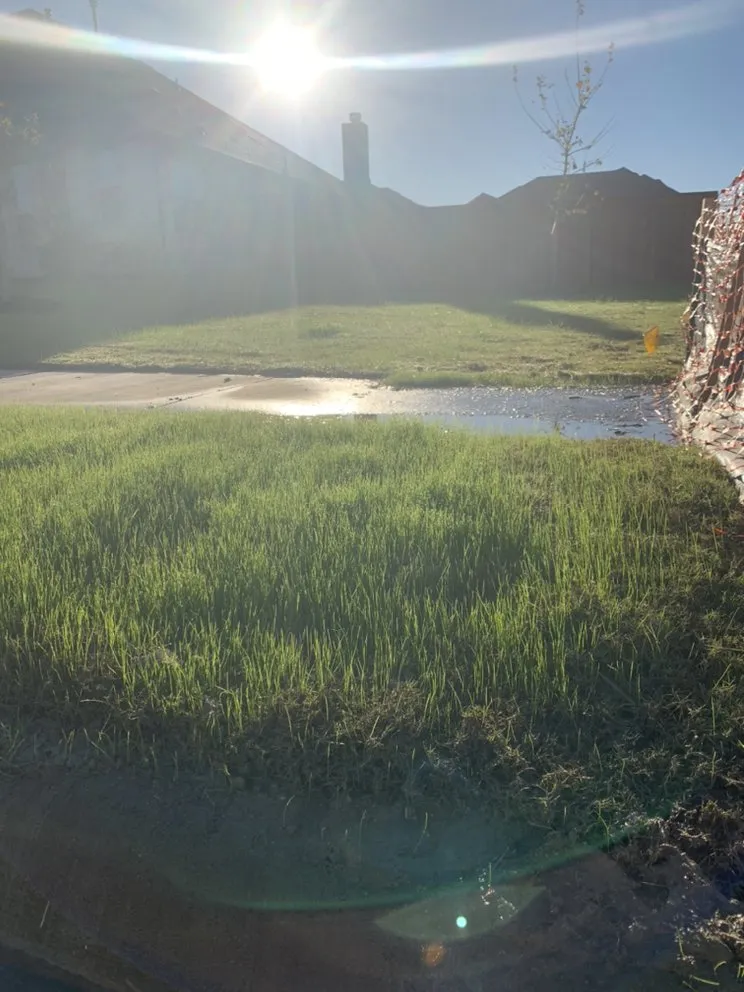 Top-rated landscape design experts serving Midlothian, TX - Clegg Royal Landscaping