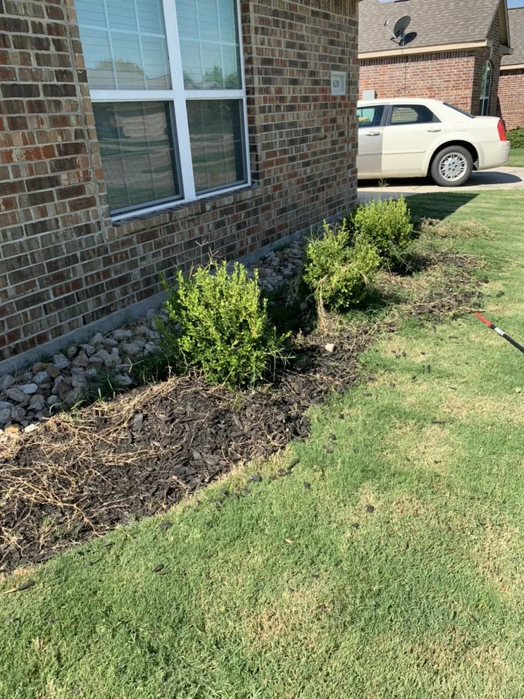 Trusted lawn mowing service experts serving Midlothian, TX - Clegg Royal Landscaping